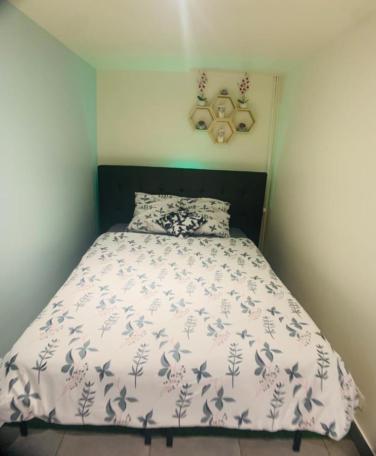 Appartement cosy proche Roissy CDG Astérix DisneyLand Paris Goussainville  Extérieur photo