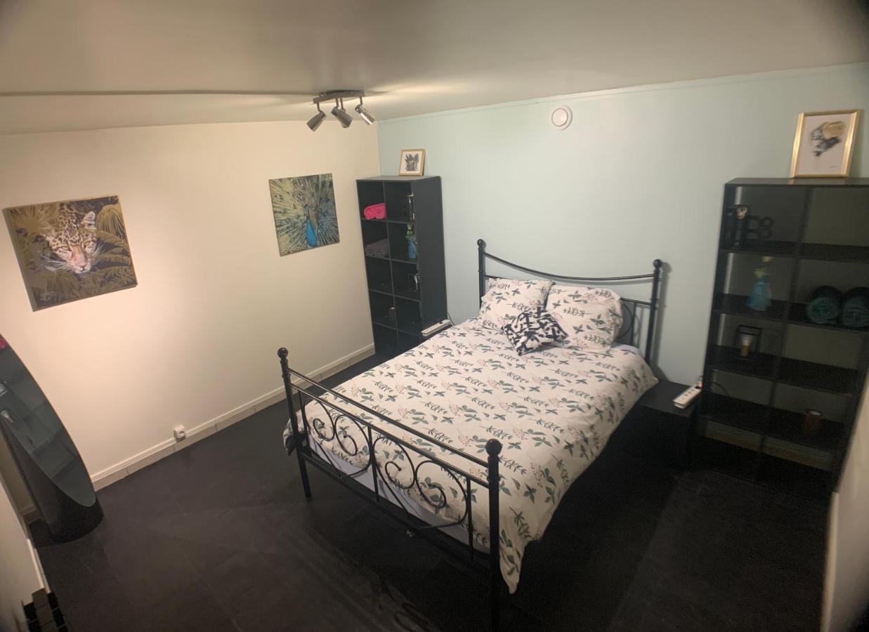 Appartement cosy proche Roissy CDG Astérix DisneyLand Paris Goussainville  Extérieur photo