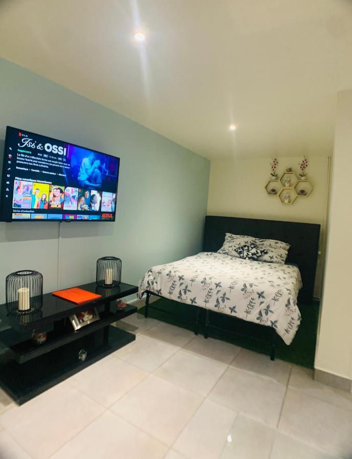 Appartement cosy proche Roissy CDG Astérix DisneyLand Paris Goussainville  Extérieur photo