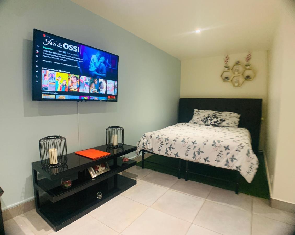 Appartement cosy proche Roissy CDG Astérix DisneyLand Paris Goussainville  Extérieur photo